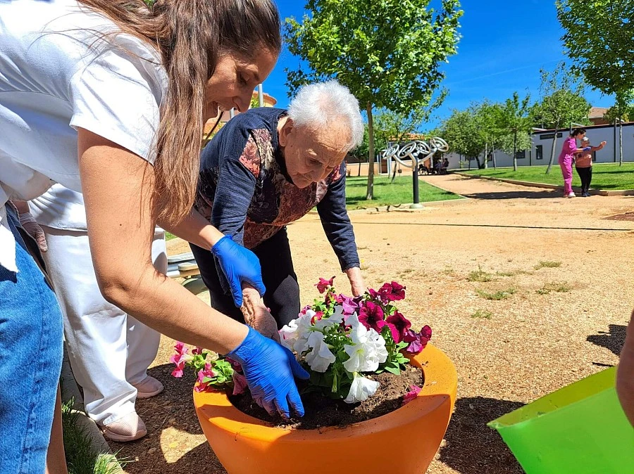 Primavera 2024 Primavera 2024