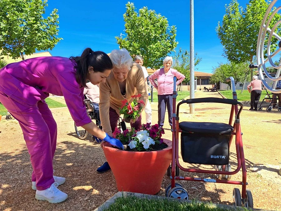 Primavera 2024 Primavera 2024