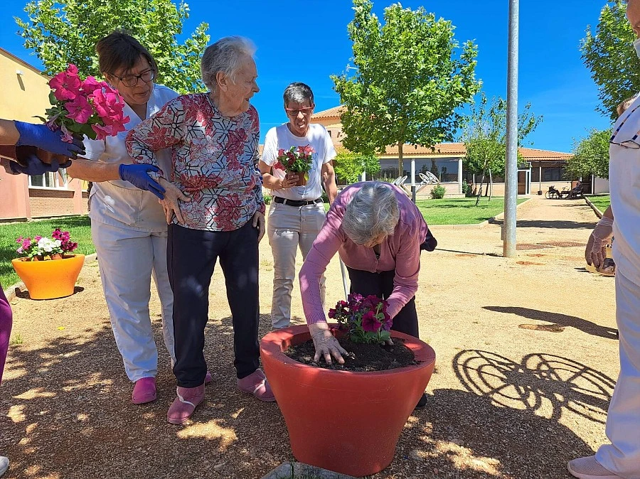 Primavera 2024 Primavera 2024