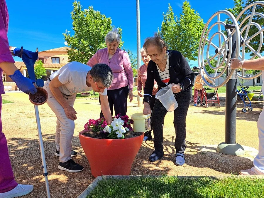 Primavera 2024 Primavera 2024