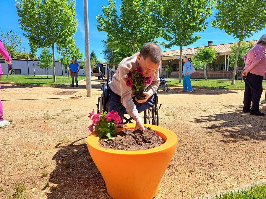 Primavera 2024 Primavera 2024
