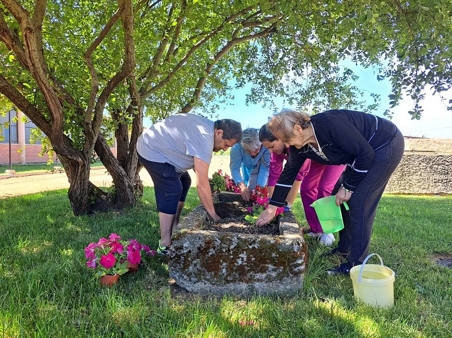 Primavera 2024 Primavera 2024