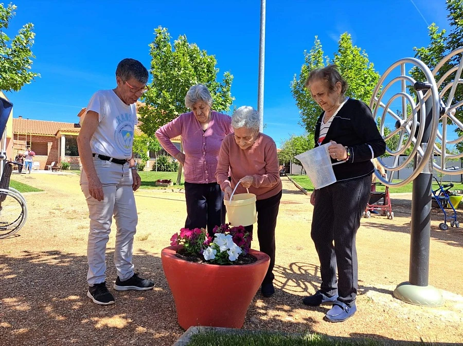 Primavera 2024 Primavera 2024